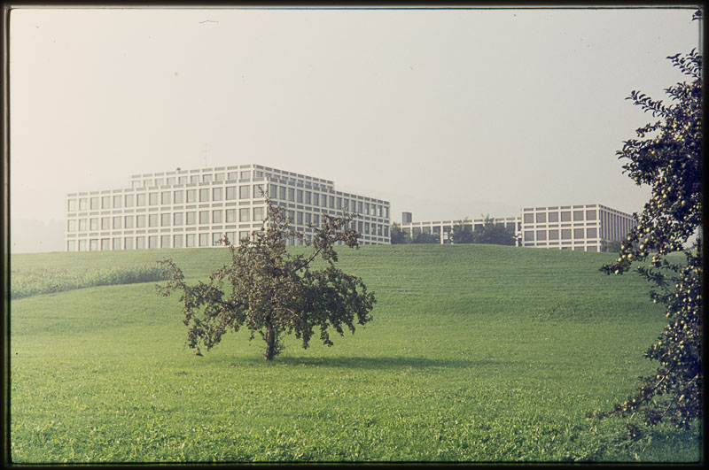 background-image